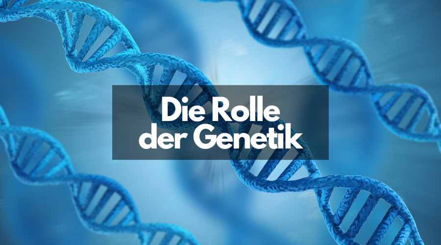 Genetik und Insulinresistenz – Ursachen und Zusammenhänge Die Rolle Der Genetik Bei Insulinresistenz