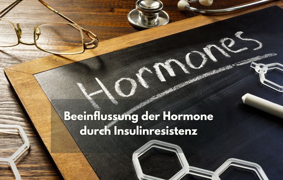 Beeinflussung Der Hormone Durch Insulinresistenz
