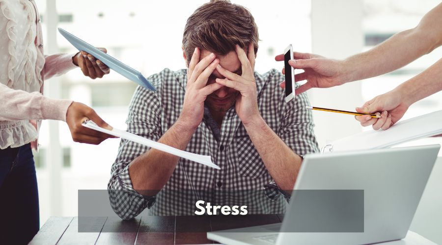 Stress